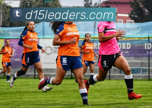 开云app网站入口平台生态图